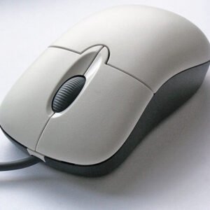 Mouse